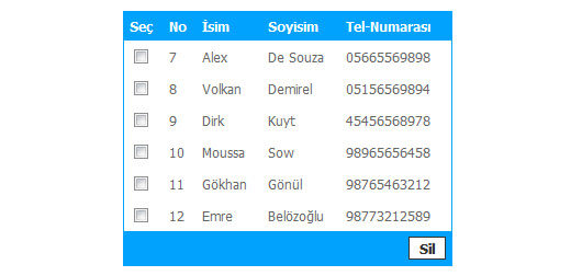 Php ile Kayıt Silme Uygulaması